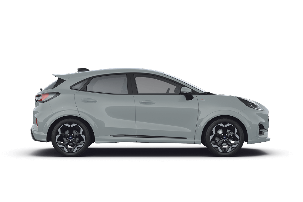 Πλάγια όψη ενός Puma