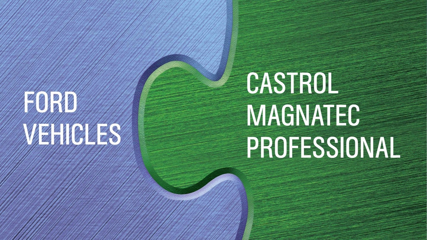 Castrol Professional Products